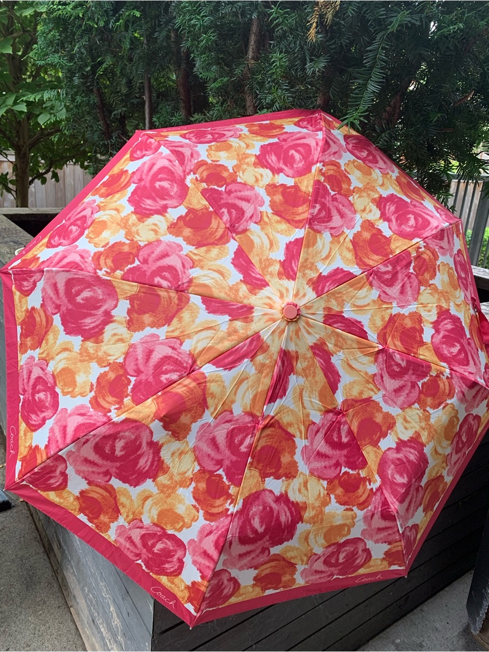 Coach Poppy Floral Print Umbrella in Pink, Orange, Yellow